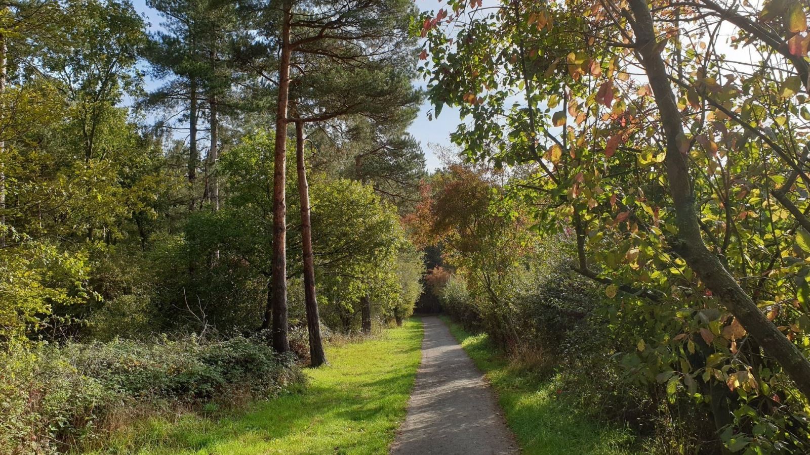 Hanningfield Reservoir Nature Discovery Park